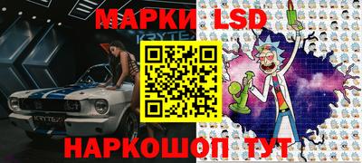 a pvp Новозыбков