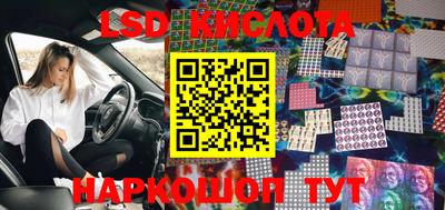 a pvp Новозыбков