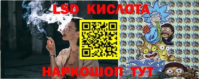 a pvp Новозыбков