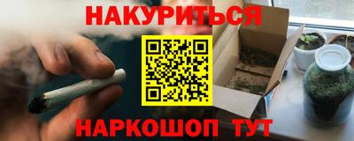 a pvp Новозыбков