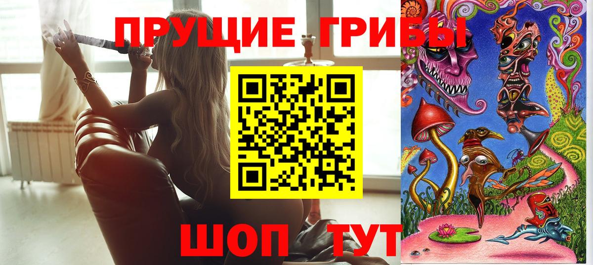 Галлюциногенные грибы Psilocybine cubensis  Вход с VPN  Славгород 
