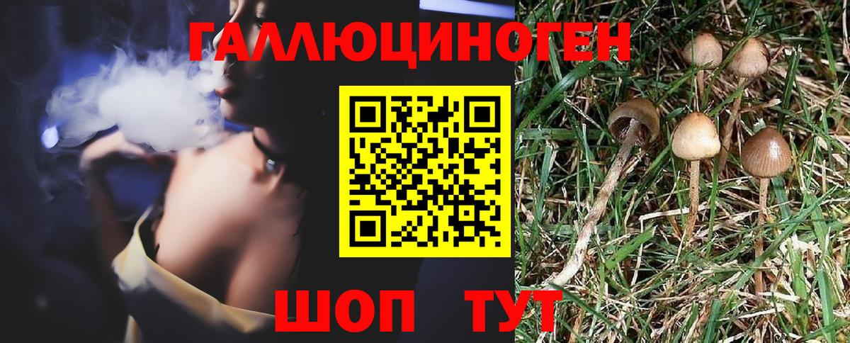 Псилоцибиновые грибы Magic Shrooms Славгород